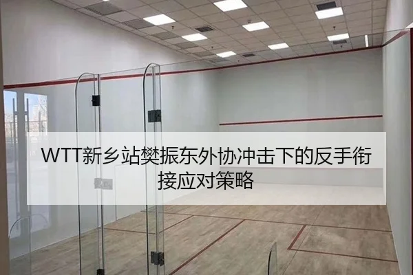 WTT新乡站樊振东外协冲击下的反手衔接应对策略