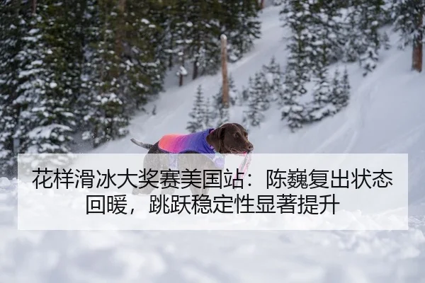 花样滑冰大奖赛美国站：陈巍复出状态回暖，跳跃稳定性显著提升